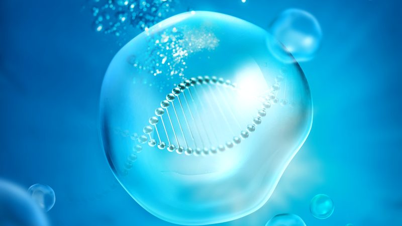 北京生物科技公司产品价格影响因素解析**