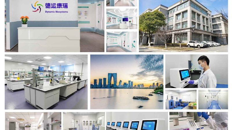 CDMO服务：揭秘药物研发背后的关键力量