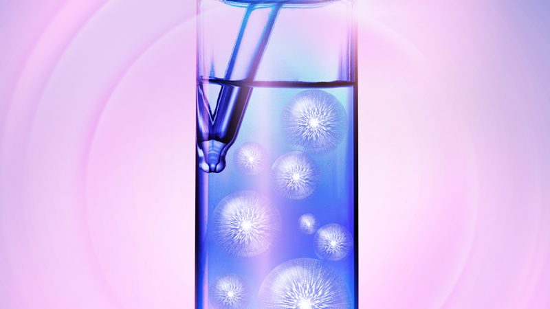酶与酵素：揭开两者的神秘面纱与价格之谜**