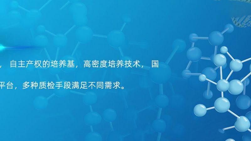 仿制药一致性评价与BE试验：本质区别与关键要点