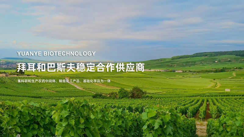 为了确保采购的原料药符合要求，以下指标值得关注：