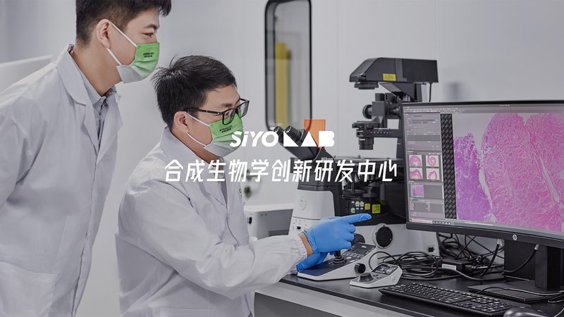 市场现状：需求多样化，质量参差不齐