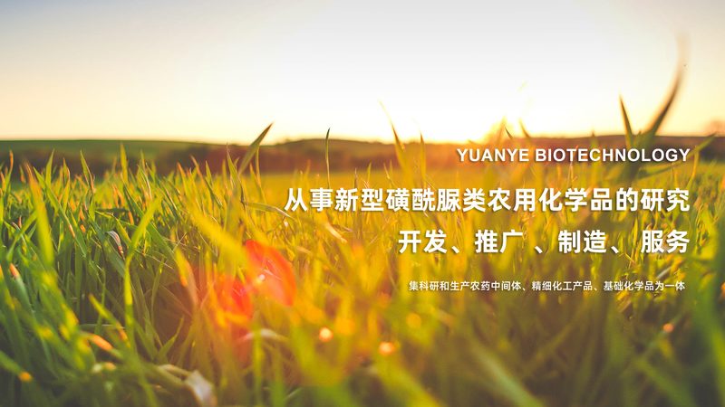 生物制品临床试验步骤解析：关键节点与策略**
