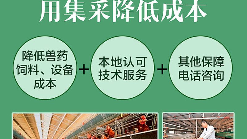生物医药注册申报周期揭秘：影响因素与优化路径