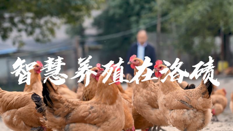 CDMO与CMO合作：揭秘合作背后的关键要素