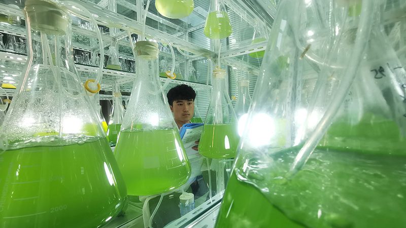 遗传病基因检测：如何选择专业医院，守护生命健康**